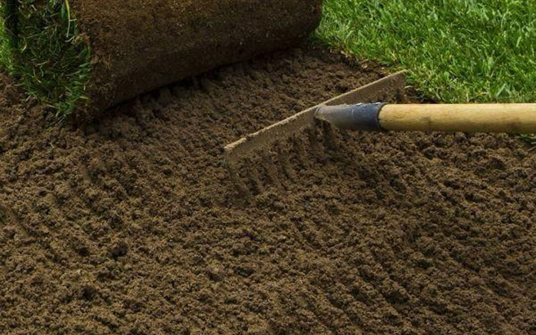 Przygotowanie terenu pod inwestycje